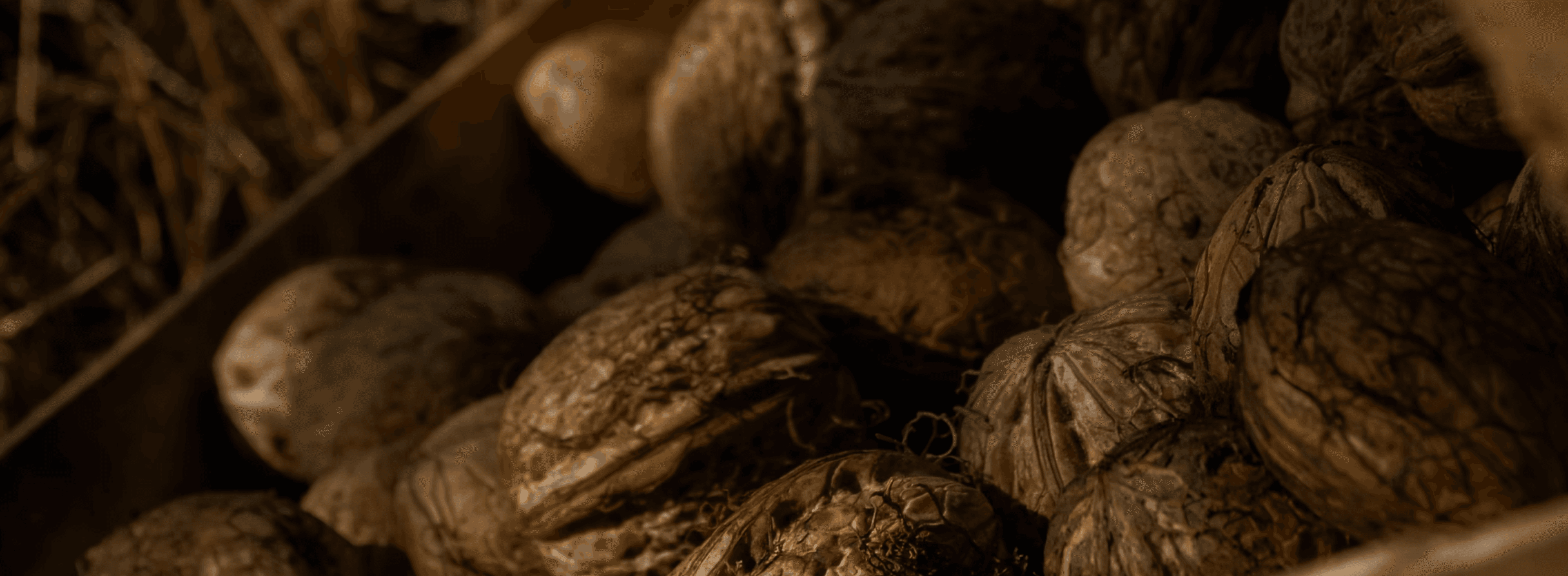 Close-up of walnuts in their shells — atmospheric tree-nut market imagery.
