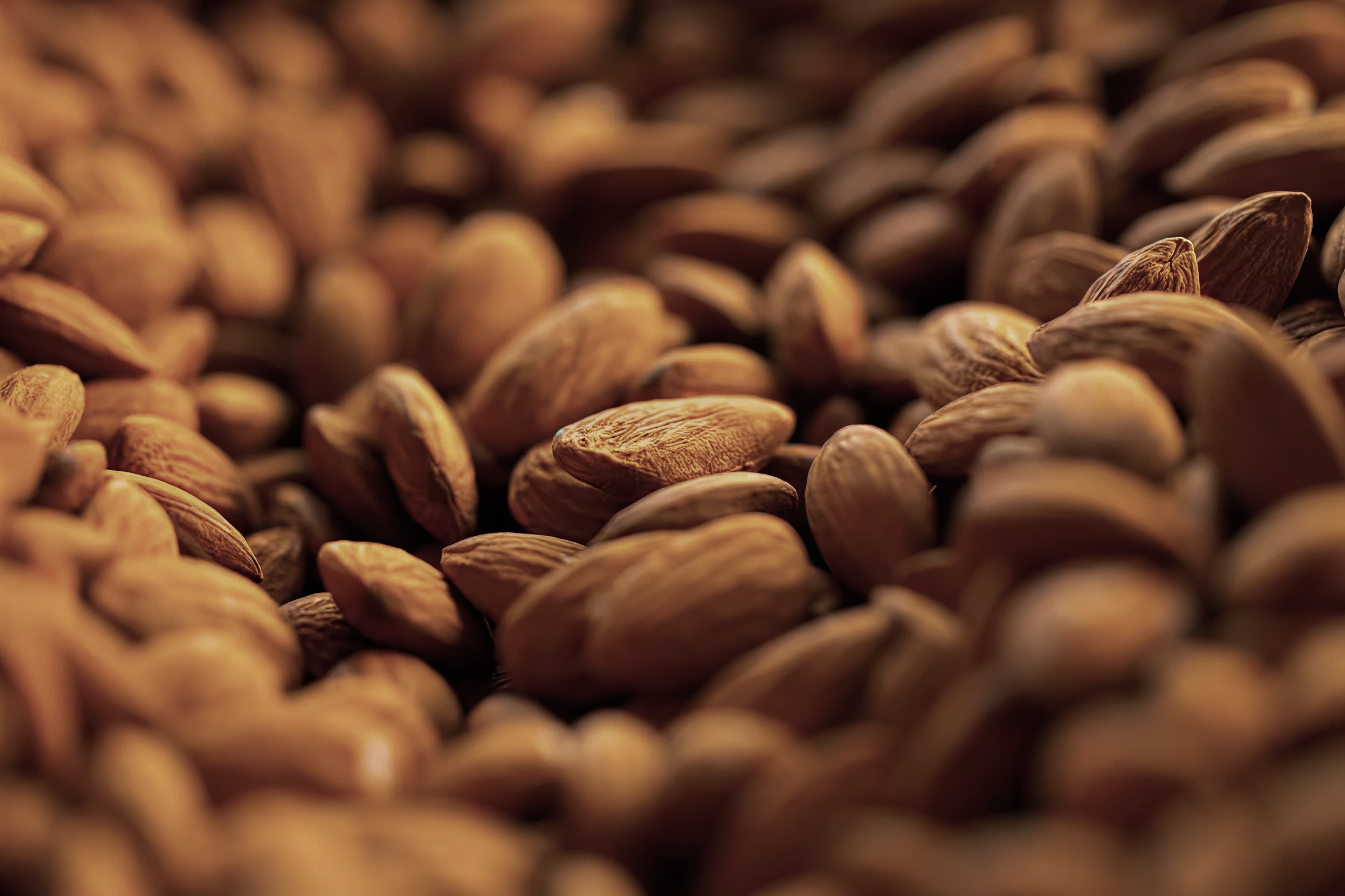 Close-up of almonds in their shells - atmospheric tree-nut imagery introducing the methodology page.